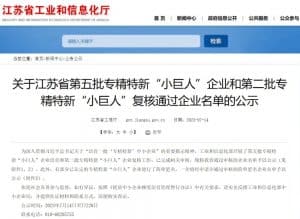 2023年度国家专精特新“小巨人”企业认定